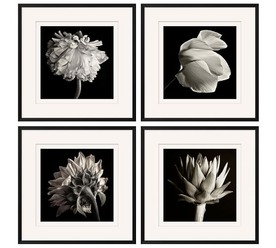 Featured image of post Black And White Floral Print Art