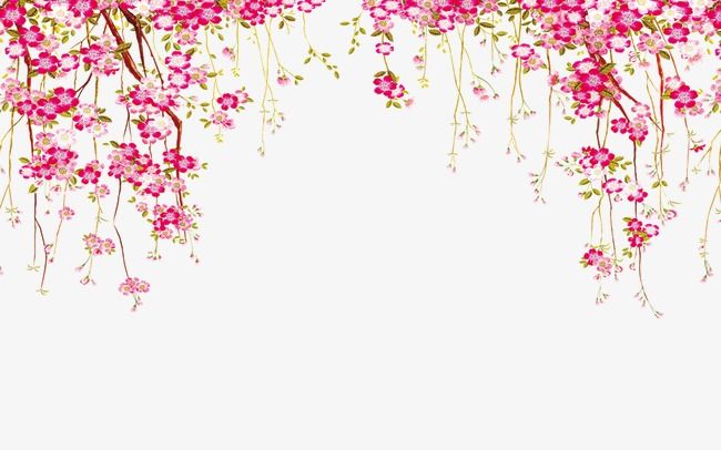 Featured image of post Floral Border Clip Art Png