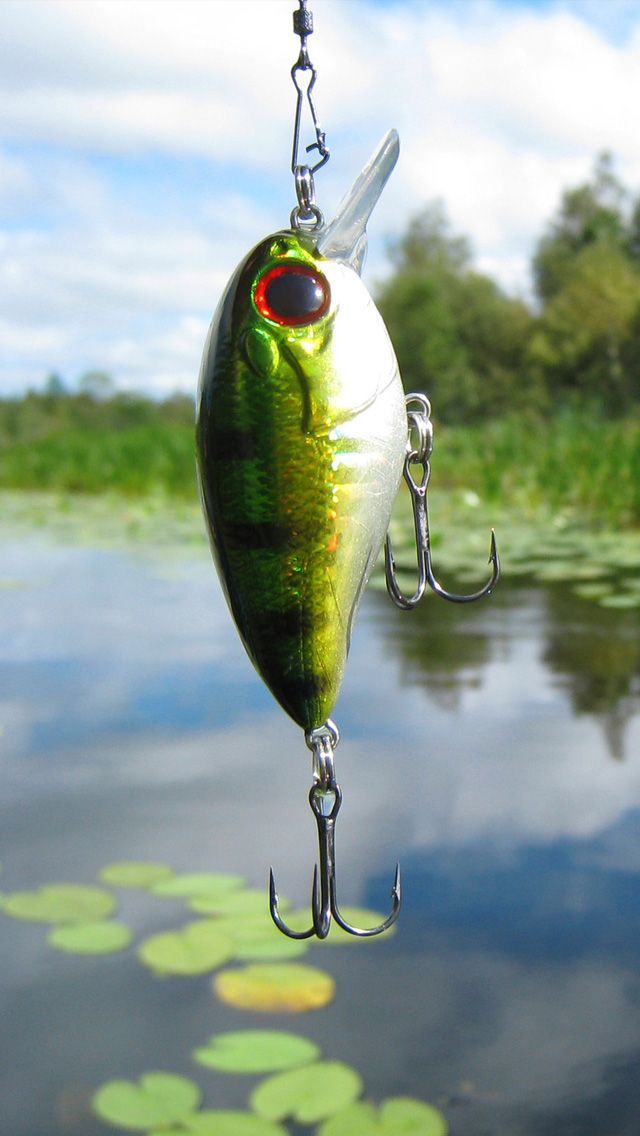 Featured image of post Iphone Fishing Lure Wallpaper