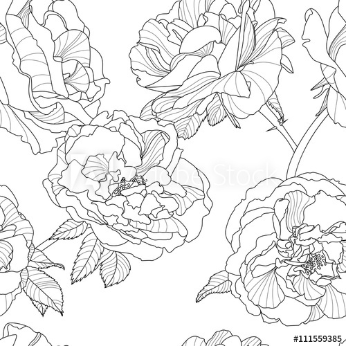 Featured image of post Outline Black And White Floral Prints