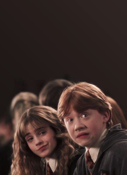 Featured image of post Ron Weasley Hermione Granger Chamber Of Secrets