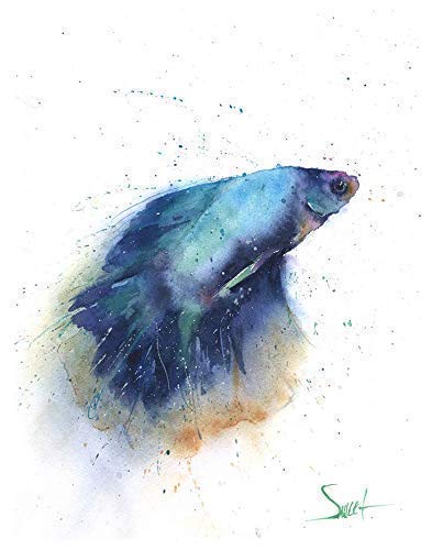 Featured image of post Watercolor Betta Fish Art